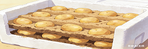 土豆这样存，一个月不发芽不腐烂 (1).png